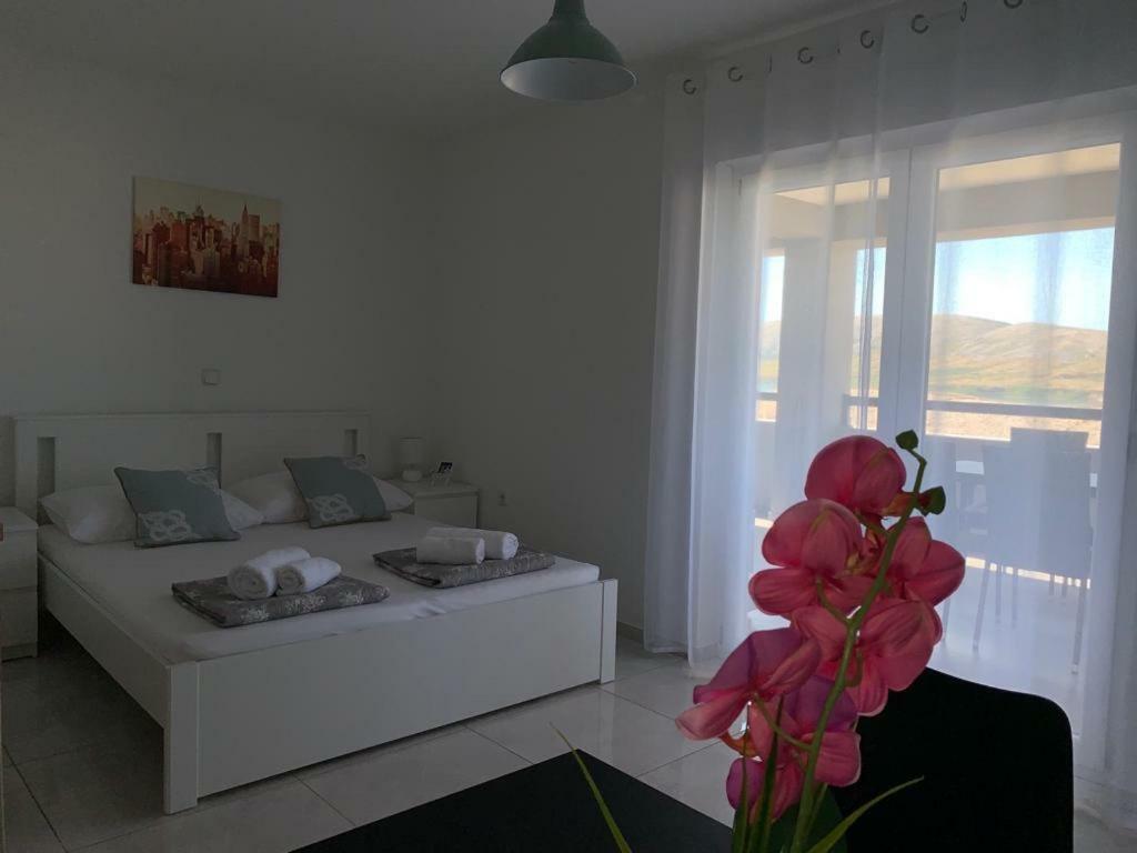 Nelany Apartment Zubovici Bagian luar foto